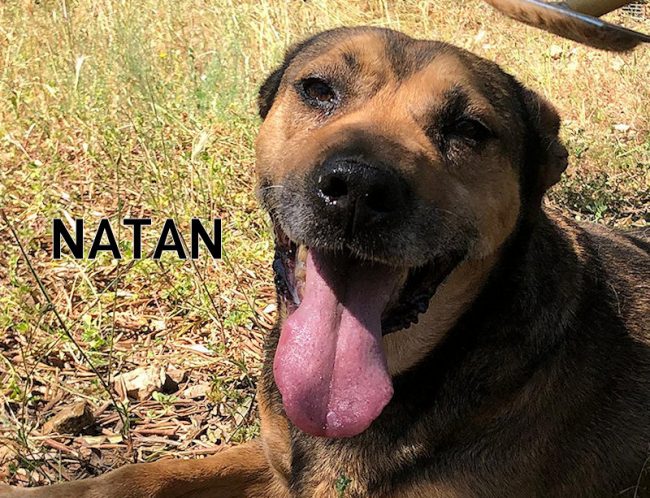 Natan ottobre 2019 03