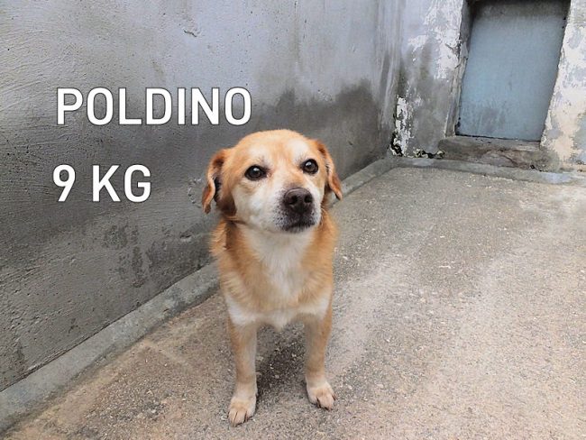 06 aprile 2021 0060