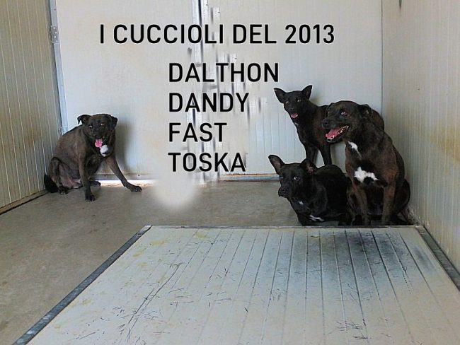 13 luglio 2019 777