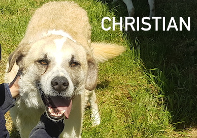 Christian