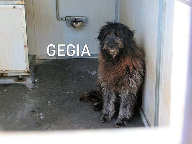 12 maggio 2017 308