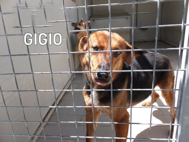 12 maggio 2017 467