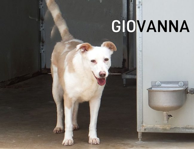 20 maggio 2017 744