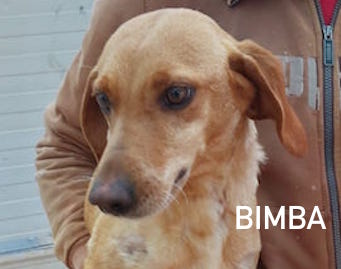 Bimba nome