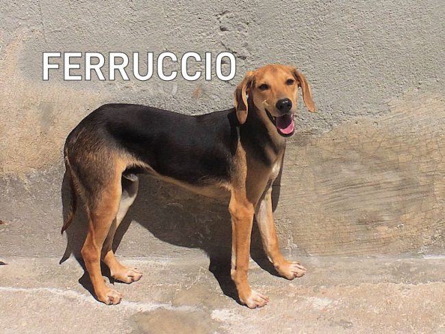 01 giugno 2021 0230