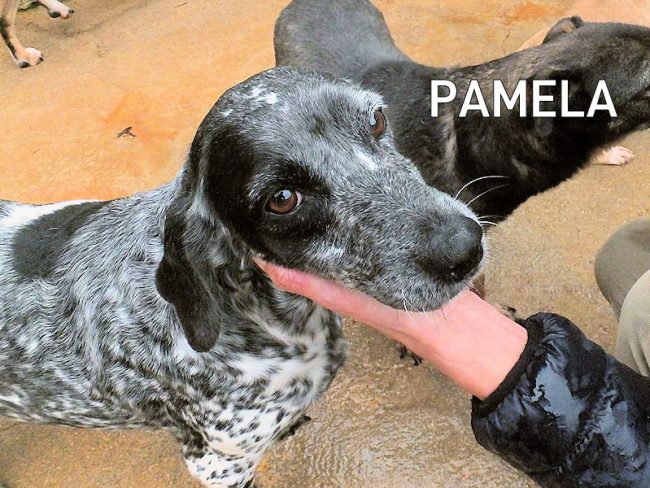 03 dicembre 2021 0017