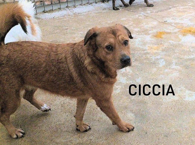 03 dicembre 2021 0132