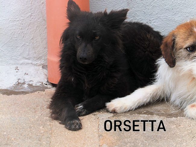 05 maggio 2022 0125