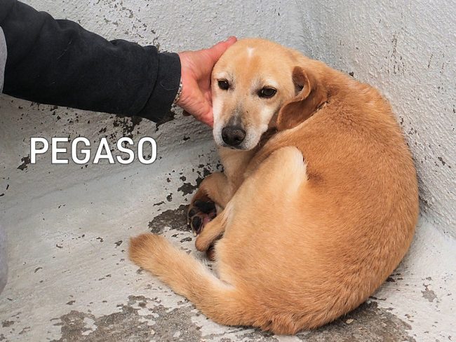 05 maggio 2022 0189A