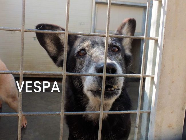 09 febbraio 2019 052