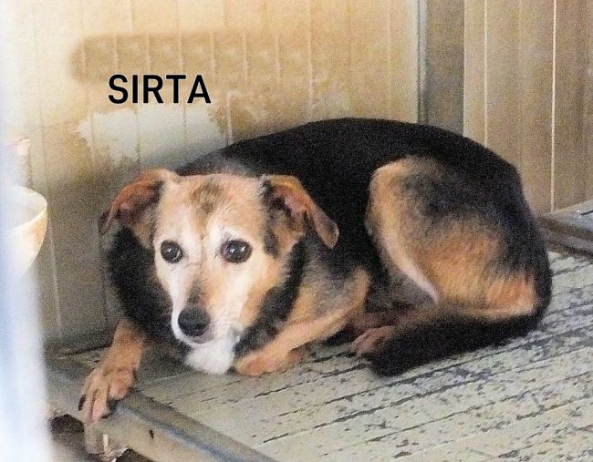 17 agosto 2018 231