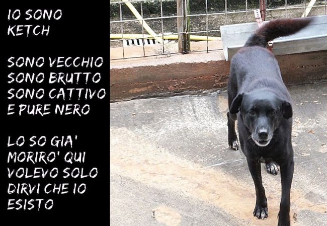 19 novembre 2016 344