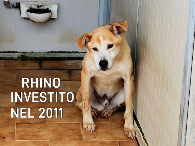 25 giugno 2022 0733