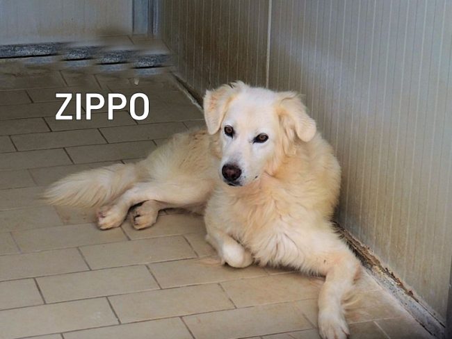 27 ottobre 2018 355