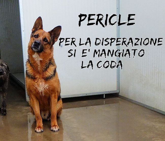 3 febbraio2018 979