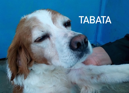 TABATA11