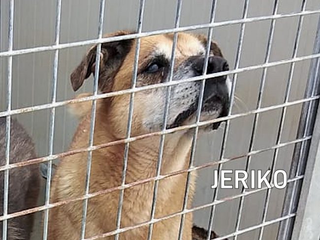 jERIKO NOVEMBRE 2021 2