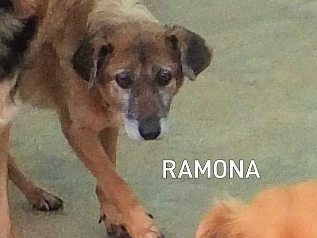 03 dicembre 2021 0222