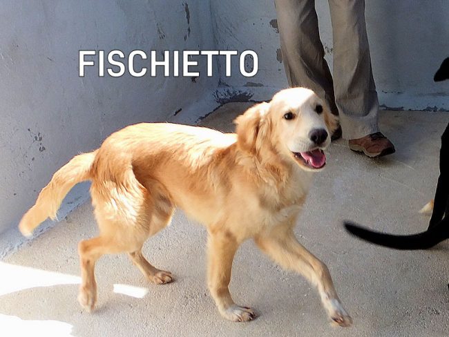 13 settembre 2022 0758