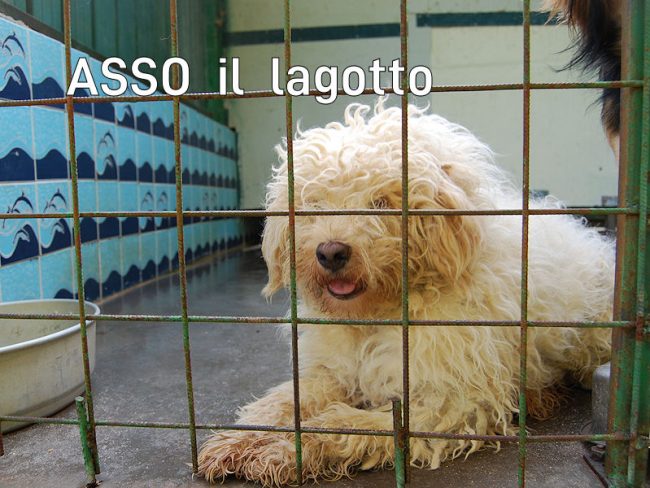 17 settembre 2022 0061
