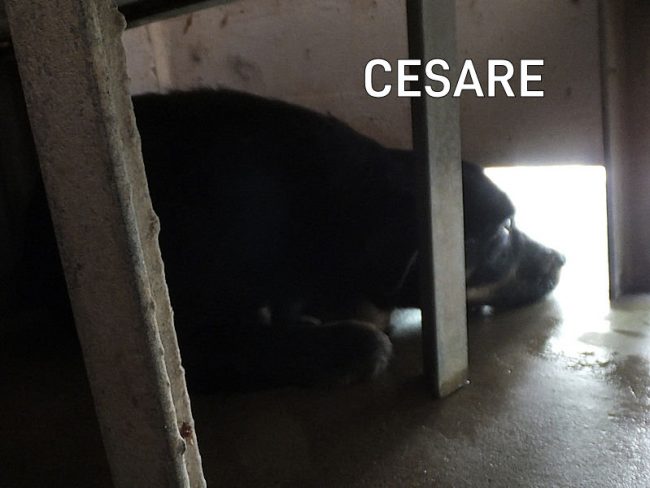 23 aprile 2022 0104
