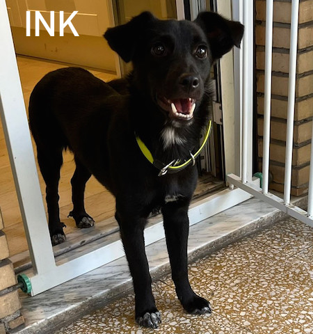 INK