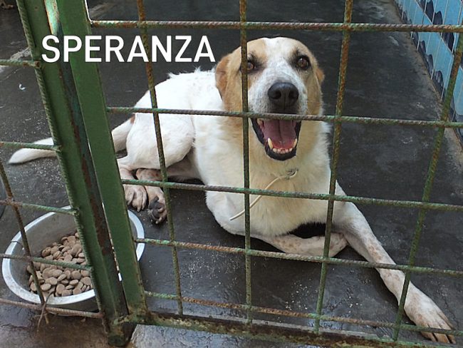 08 ottobre 2022 0284