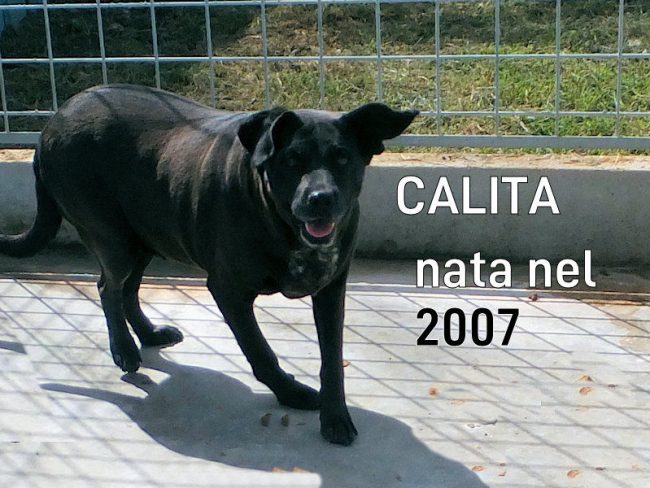 24 settembre 2022 0713a