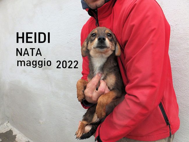 05 novembre 2022 0041a