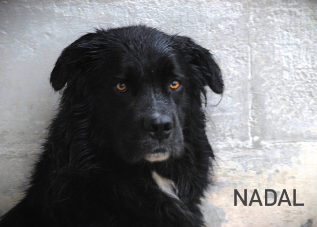 nome