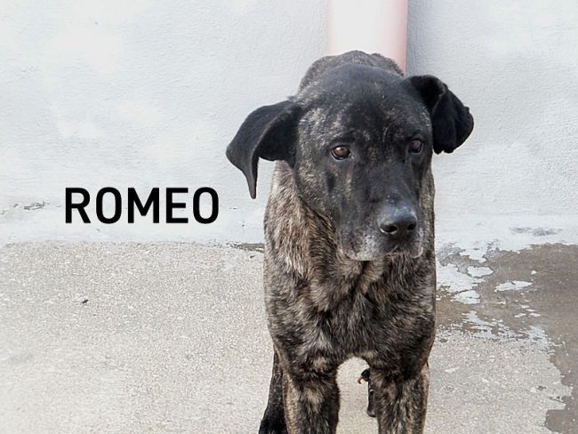 04 marzo 2023 0084