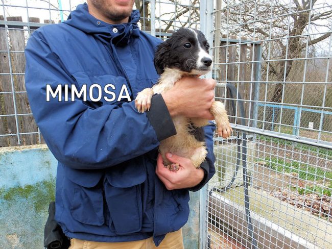 11 marzo 2023 0475