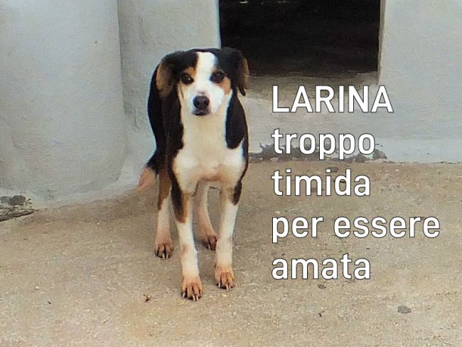13 giugno 2023 0358