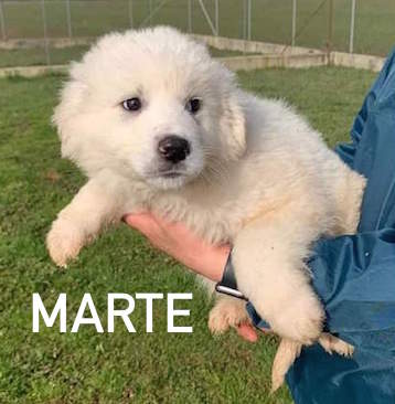 nome Marte