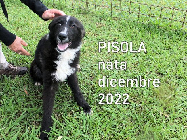 13 giugno 2023 0055a