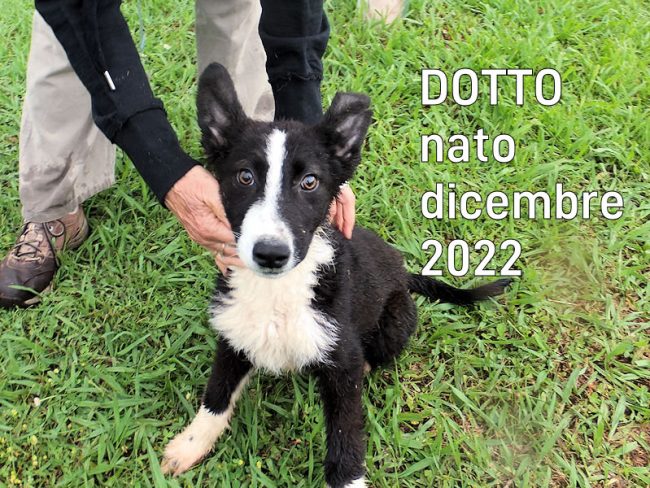 13 giugno 2023 0100