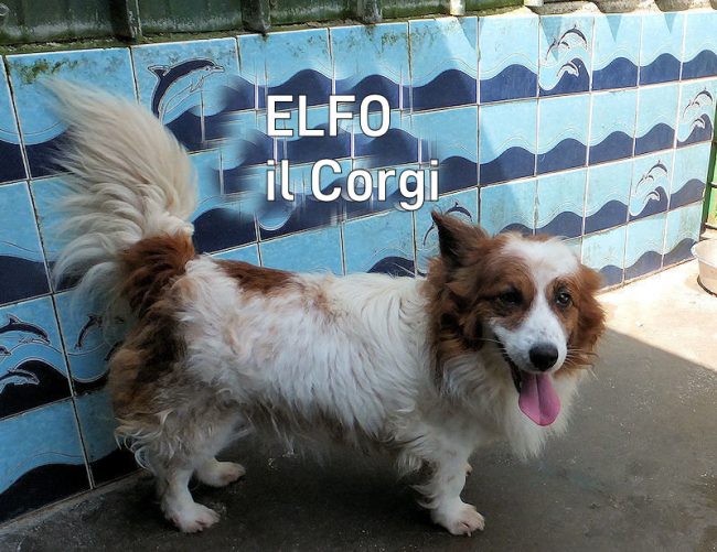 08 luglio 2023 0426aa