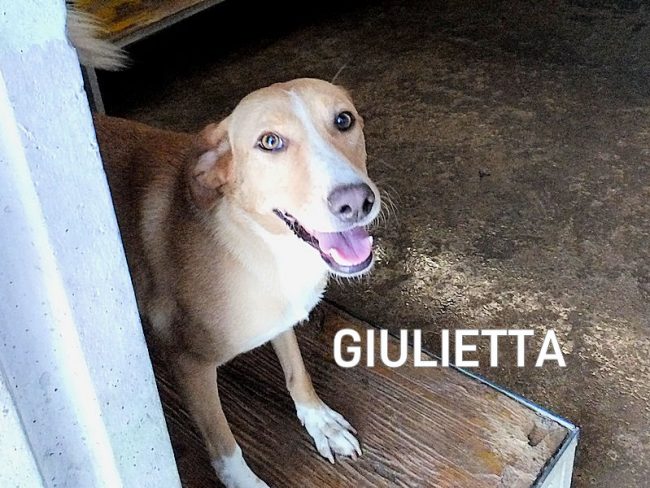 29 luglio 2023 0160