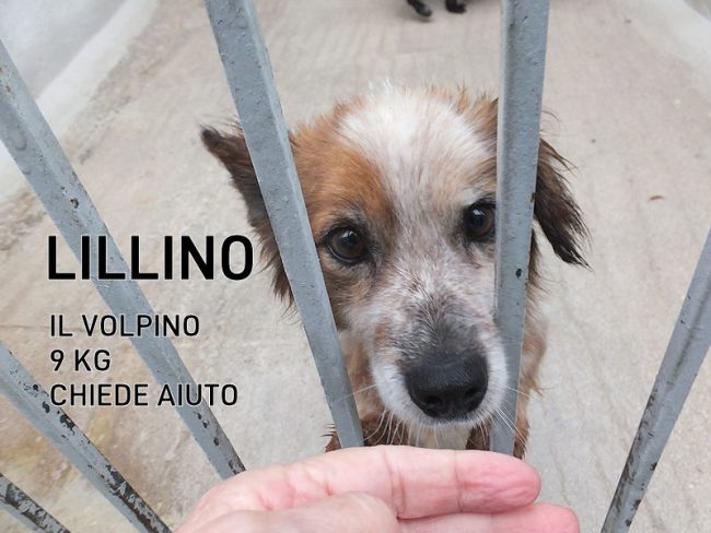 21 ottobre 2023 0035