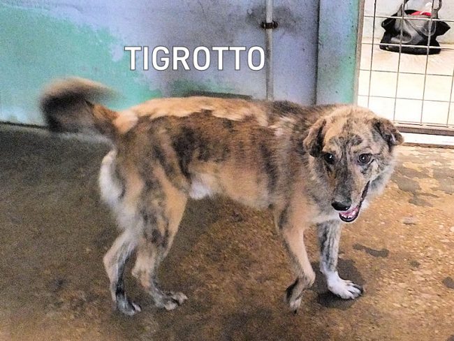 29 luglio 2023 0771