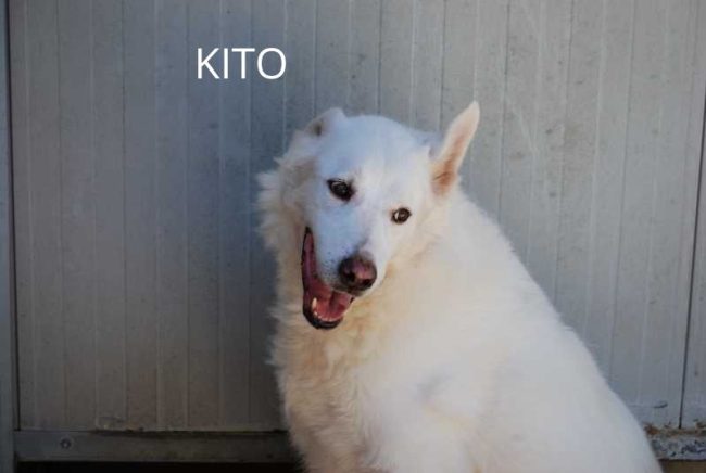 KITO NOME