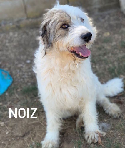 nome