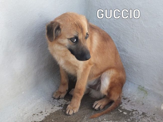 06 marzo 2024 2024 0176