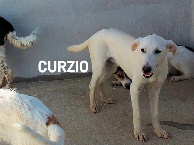 29 settembre 2023 0789