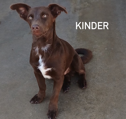 kinder
