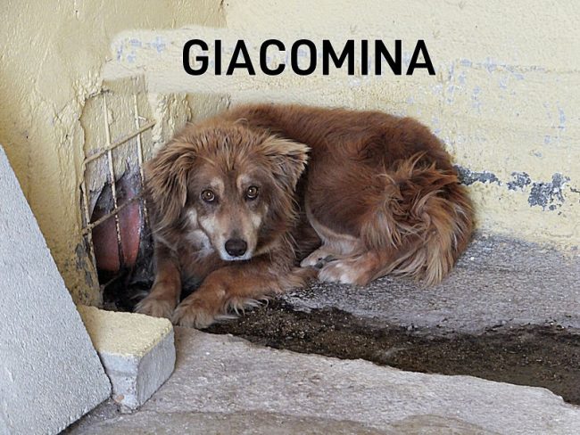 29 aprile 2023 0118A