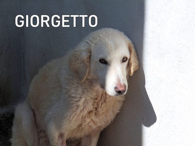 06 marzo 2024 2024 0256a