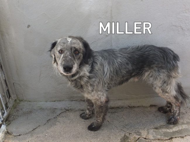 18 dicembre 2023 0013