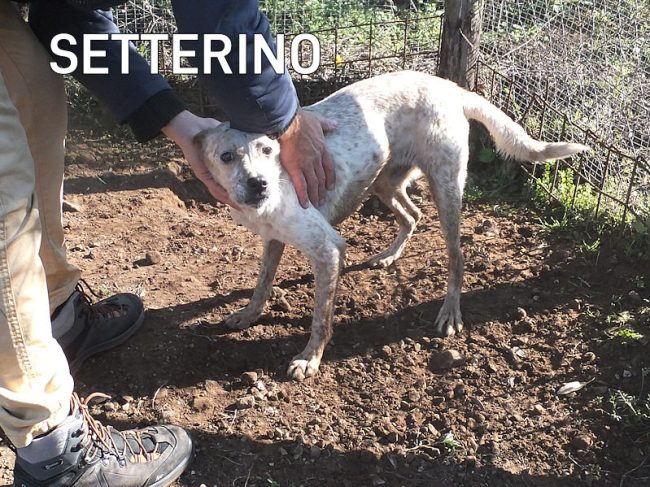 27 gennaio 2024 0165