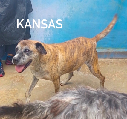Kansas